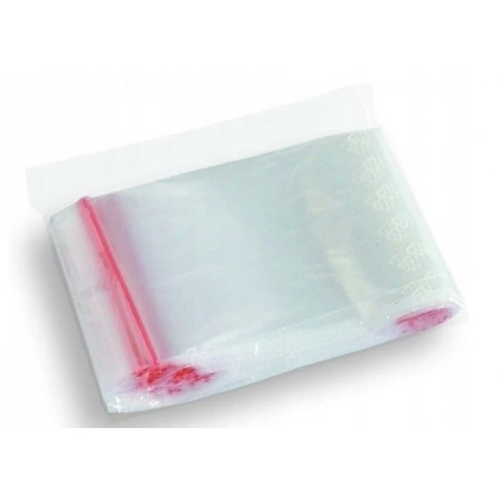 Zip bag 9 300x400 mm 100/1